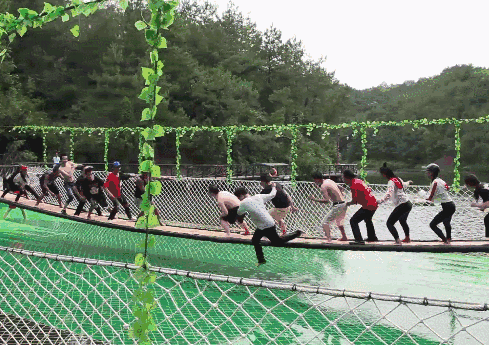 6.gif